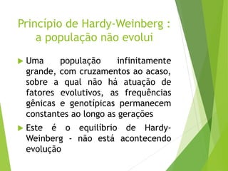 Princípio de Hardy-Weinberg :
a população não evolui
 Uma população infinitamente
grande, com cruzamentos ao acaso,
sobre a qual não há atuação de
fatores evolutivos, as frequências
gênicas e genotípicas permanecem
constantes ao longo as gerações
 Este é o equilíbrio de Hardy-
Weinberg - não está acontecendo
evolução
 