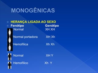  HERANÇA LIGADA AO SEXO
 Fenótipo Genótipo
Normal XH XH

 Normal portadora XH Xh

 Hemofílica Xh Xh


 Normal XH Y
 Hemofílico Xh Y
 
