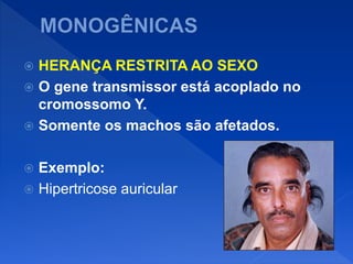 HERANÇA RESTRITA AO SEXO
 O gene transmissor está acoplado no
cromossomo Y.
 Somente os machos são afetados.
 Exemplo:
 Hipertricose auricular
 