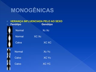  HERANÇA INFLUENCIADA PELO AO SEXO
 Fenótipo Genótipo
Normal Xc Xc

 Normal XC Xc

 Calva XC XC


 Normal Xc Yc
 Calvo XC Yc
 Calvo XC YC
 
