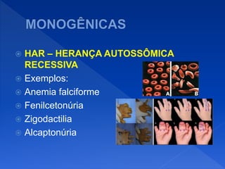  HAR – HERANÇA AUTOSSÔMICA
RECESSIVA
 Exemplos:
 Anemia falciforme
 Fenilcetonúria
 Zigodactilia
 Alcaptonúria
 