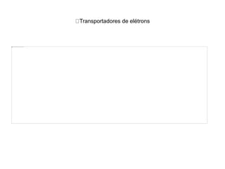 Transportadores de elétrons
 