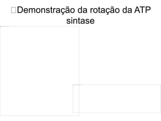 Demonstração da rotação da ATP
sintase
 