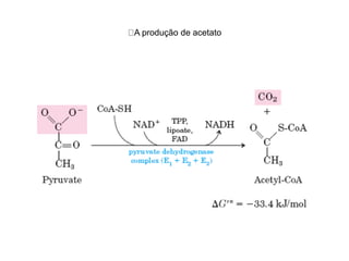 A produção de acetato
 