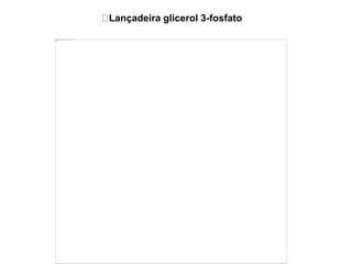 Lançadeira glicerol 3-fosfato
 