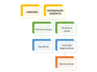 AGRESSÃO
DEGENERAÇÃO
HIDRÓPICA
Elimina a causa
Equilíbrio
Persiste a
causa
Evolução
degenerativa
Morte celular
 