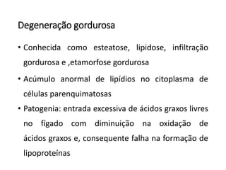 Degeneração gordurosa
• Conhecida como esteatose, lipidose, infiltração
gordurosa e ,etamorfose gordurosa
• Acúmulo anormal de lipídios no citoplasma de
células parenquimatosas
• Patogenia: entrada excessiva de ácidos graxos livres
no fígado com diminuição na oxidação de
ácidos graxos e, consequente falha na formação de
lipoproteínas
 