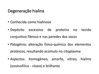Degeneração hialina
• Conhecida como hialinose
• Depósito excessivo de proteína no tecido
conjuntivo fibroso e nas paredes dos vasos
• Patogênia: alteração fisico-química dos elementos
proteicos, resultando acúmulo no citoplasma
• Aspectos: homogêneo, amorfo, vítreo, hialino
(eosinofílico - róseo) e brilhante
 