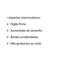• Aspectos macroscópicos:
 Órgão firme
 Aumentado de tamanho
 Bordas arredondadas
 Não gorduroso ao corte
 