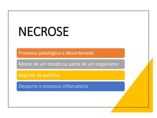 NECROSE
Processo patológico e desordenado
Morte de um tecido ou parte de um organismo
Seguida de autólise
Desperta o processo inflamatório
 