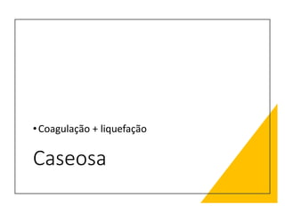 Caseosa
•Coagulação + liquefação
 