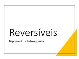Reversíveis
Degeneração ou lesão regressiva
 