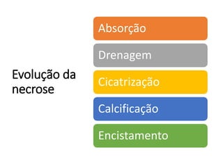 Evolução da
necrose
Absorção
Drenagem
Cicatrização
Calcificação
Encistamento
 