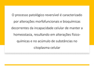 O processo patológico reversível é caracterizado
por alterações morfofuncionais e bioquímicas
decorrentes da incapacidade celular de manter a
homeostasia, resultando em alterações físico-
químicas e no acúmulo de substâncias no
citoplasma celular
 