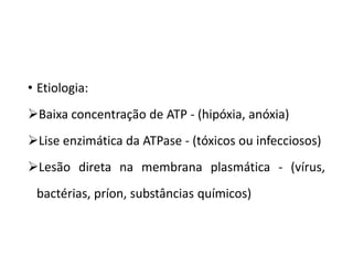 • Etiologia:
Baixa concentração de ATP - (hipóxia, anóxia)
Lise enzimática da ATPase - (tóxicos ou infecciosos)
Lesão direta na membrana plasmática - (vírus,
bactérias, príon, substâncias químicos)
 