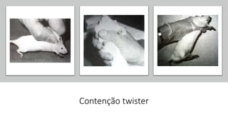 Contenção twister