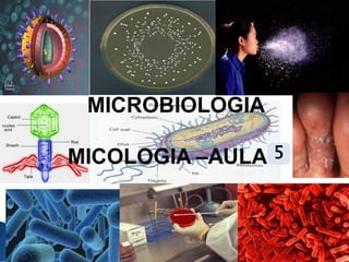 MICROBIOLOGIA
MICOLOGIA –AULA II
5
 