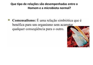 Que tipo de relações são desempenhadas entre o
Homem e a microbiota normal?
 