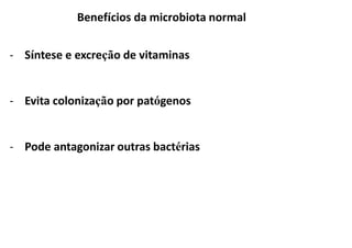 - Síntese e excreção de vitaminas
- Evita colonização por patógenos
- Pode antagonizar outras bactérias
Benefícios da microbiota normal
 