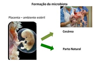 Formação da microbiota
Placenta – ambiente estéril
Cesárea
Parto Natural
 