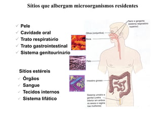 Sítios que albergam microorganismos residentes
✓ Pele
✓ Cavidade oral
✓ Trato respiratório
✓ Trato gastrointestinal
✓ Sistema genitourinário
Sítios estéreis
✓ Órgãos
✓ Sangue
✓ Tecidos internos
✓ Sistema lifático
 