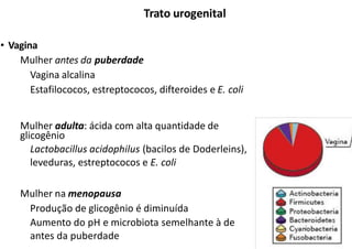 Trato urogenital
• Vagina
Mulher antes da puberdade
Vagina alcalina
Estafilococos, estreptococos, difteroides e E. coli
Mulher adulta: ácida com alta quantidade de
glicogênio
Lactobacillus acidophilus (bacilos de Doderleins),
leveduras, estreptococos e E. coli
Mulher na menopausa
Produção de glicogênio é diminuída
Aumento do pH e microbiota semelhante à de
antes da puberdade
1
 
