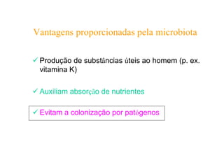 Vantagens proporcionadas pela microbiota
✓ Produção de substâncias úteis ao homem (p. ex.
vitamina K)
✓ Auxiliam absorção de nutrientes
✓ Evitam a colonização por patógenos
 