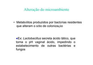 Alteração do microambiente
• Metabólitos produzidos por bactérias residentes
que alteram o sítio de colonização
⚫Ex: Lactobacillus secreta ácido lático, que
torna o pH vaginal ácido, impedindo o
estabelecimento de outras bactérias e
fungos
 