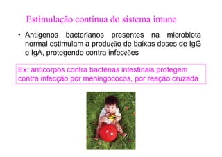 Estimulação contínua do sistema imune
• Antígenos bacterianos presentes na microbiota
normal estimulam a produção de baixas doses de IgG
e IgA, protegendo contra infecções
Ex: anticorpos contra bactérias intestinais protegem
contra infecção por meningococos, por reação cruzada
 
