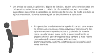 10
• Em ambos os casos, os produtos, depois de colhidos, devem ser acondicionados em
caixas apropriadas, tomando-se o cuidado de não acondicionar, em cada caixa,
quantidades superiores à capacidade de contenção da mesma, de modo a reduzir as
injúrias mecânicas, durante as operações de empilhamento e transporte.
• As operações envolvidas no transporte do campo para a área
de processamento são as responsáveis por grande parte das
injúrias mecânicas que depreciam a qualidade da matéria
prima, resultando em maior perda e menor rendimento no
processamento. Esse transporte deve ser feito o mais rápido
possível e de forma cuidadosa, utilizando-se,
preferencialmente, caminhões refrigerados ou cobertos com
lonas térmicas.
 