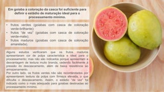 Em goiaba a coloração da casca foi suficiente para
definir o estádio de maturação ideal para o
processamento mínimo.
• frutos verdes (goiabas com casca de coloração
verde-brilhante);
• frutos “de vez” (goiabas com casca de coloração
verde-mate);
• frutos maduros (goiabas com casca de coloração
amarelada).
Alguns estudos verificaram que os frutos maduros
apresentaram cor de polpa característica e ideal para o
processamento; mas não são indicados porque apresentam a
desvantagem de textura muito branda, cedendo facilmente à
pressão do descascamento, além de baixa resistência ao
armazenamento.
Por outro lado, os frutos verdes não são recomendados por
apresentarem textura da polpa com firmeza elevada, o que
dificulta o descascamento. Assim, o estádio “de vez” foi
indicado como o mais adequado para goiabas destinadas ao
processamento mínimo.
 