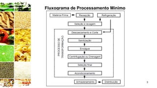 3
Fluxograma de Processamento Mínimo
 
