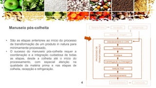4
Manuseio pós-colheita
• São as etapas anteriores ao início do processo
de transformação de um produto in natura para
minimamente processado.
• O sucesso do manuseio pós-colheita requer a
coordenação e a integração cuidadosa de todas
as etapas, desde a colheita até o início do
processamento, com especial atenção na
qualidade da matéria prima e nas etapas de
colheita, recepção e refrigeração.
4
 