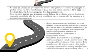 • No caso da unidade de processamento mínimo estar próxima ao campo de produção, o
produto colhido nas horas mais frescas do dia, e com temperatura próxima de 10°C, pode ser
levado diretamente da recepção para a área de processamento.
• Caso contrário, quando este processo ocorre distante da produção, algumas técnicas de
manuseio pós-colheita são de extrema importância para a manutenção da qualidade e o
sucesso do processamento:
• Devem ser armazenados à sombra ou em locais
cobertos, preferencialmente equipados com sistema
de pulverização com água limpa, visando à redução
da perda d’água e o posterior murchamento, que
prejudica principalmente as etapas de
descascamento e, ou, corte durante o
processamento mínimo.
• Na ausência de um sistema de pulverização, é
recomendável que os produtos sejam lavados ainda
no campo, utilizando-se água limpa e corrente. Esse
procedimento é útil também para se retirar o calor
de campo, responsável por acelerar a perda d’água,
a atividade respiratória e a produção de etileno. 9
 