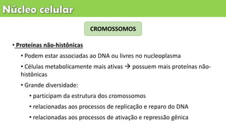 • Proteínas não-histônicas
• Podem estar associadas ao DNA ou livres no nucleoplasma
• Células metabolicamente mais ativas  possuem mais proteínas não-
histônicas
• Grande diversidade:
• participam da estrutura dos cromossomos
• relacionadas aos processos de replicação e reparo do DNA
• relacionadas aos processos de ativação e repressão gênica
CROMOSSOMOS
 