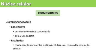 CROMOSSOMOS
• HETEROCROMATINA
• Constitutiva
• permanentemente condensada
• 10 a 25% do DNA
• Facultativa
• condensação varia entre os tipos celulares ou com a diferenciação
celular
 