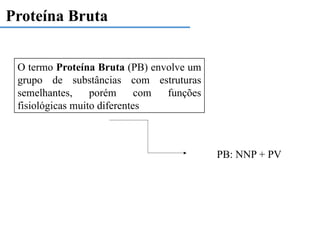 Proteína Bruta
O termo Proteína Bruta (PB) envolve um
grupo de substâncias com estruturas
semelhantes, porém com funções
fisiológicas muito diferentes
PB: NNP + PV
 