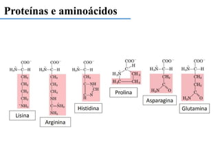Proteínas e aminoácidos
 