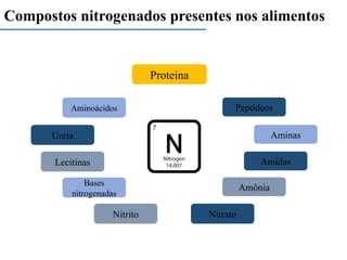 Compostos nitrogenados presentes nos alimentos
Proteina
Aminoácidos
Aminas
Amidas
Amônia
Ureia
Nitrato
Nitrito
Bases
nitrogenadas
Lecitinas
Peptídeos
 