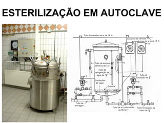 ESTERILIZAÇÃO EM AUTOCLAVE
 