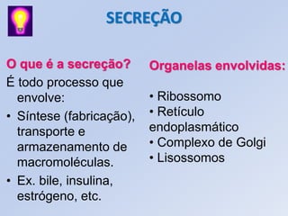 Aula 5 secreção e digestão celular | PDF