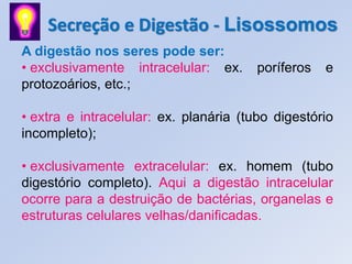Secreção e Digestão - Lisossomos
A digestão nos seres pode ser:
• exclusivamente intracelular: ex.      poríferos   e
protozoários, etc.;

• extra e intracelular: ex. planária (tubo digestório
incompleto);

• exclusivamente extracelular: ex. homem (tubo
digestório completo). Aqui a digestão intracelular
ocorre para a destruição de bactérias, organelas e
estruturas celulares velhas/danificadas.
 
