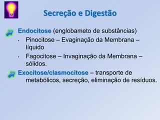 Secreção e Digestão
Endocitose (englobameto de substâncias)
• Pinocitose – Evaginação da Membrana –
  líquido
• Fagocitose – Invaginação da Membrana –
  sólidos.
Exocitose/clasmocitose – transporte de
  metabólicos, secreção, eliminação de resíduos.
 