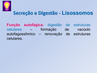 Secreção e Digestão - Lisossomos

Função autofágica: digestão de estruturas
celulares   –    formação   de   vacúolo
autofagossômico – renovação de estruturas
celulares.
 