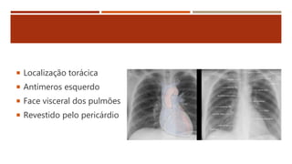  Localização torácica
 Antímeros esquerdo
 Face visceral dos pulmões
 Revestido pelo pericárdio
 