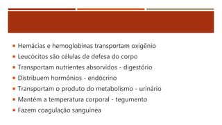  Hemácias e hemoglobinas transportam oxigênio
 Leucócitos são células de defesa do corpo
 Transportam nutrientes absorvidos - digestório
 Distribuem hormônios - endócrino
 Transportam o produto do metabolismo - urinário
 Mantém a temperatura corporal - tegumento
 Fazem coagulação sanguínea
 