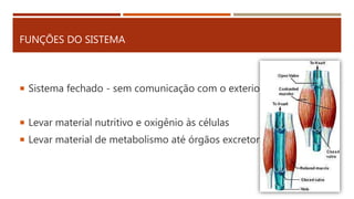 FUNÇÕES DO SISTEMA
 Sistema fechado - sem comunicação com o exterior
 Levar material nutritivo e oxigênio às células
 Levar material de metabolismo até órgãos excretores
 