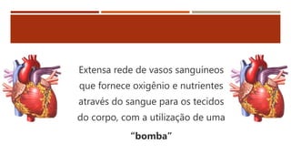 Extensa rede de vasos sanguíneos
que fornece oxigênio e nutrientes
através do sangue para os tecidos
do corpo, com a utilização de uma
“bomba”
 