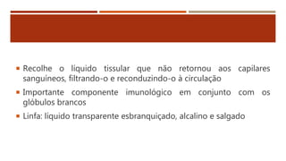  Recolhe o líquido tissular que não retornou aos capilares
sanguíneos, filtrando-o e reconduzindo-o à circulação
 Importante componente imunológico em conjunto com os
glóbulos brancos
 Linfa: líquido transparente esbranquiçado, alcalino e salgado
 
