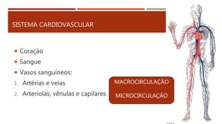 SISTEMA CARDIOVASCULAR
 Coração
 Sangue
 Vasos sanguíneos:
1. Artérias e veias
2. Arteríolas, vênulas e capilares
MACROCIRCULAÇÃO
MICROCIRCULAÇÃO
 